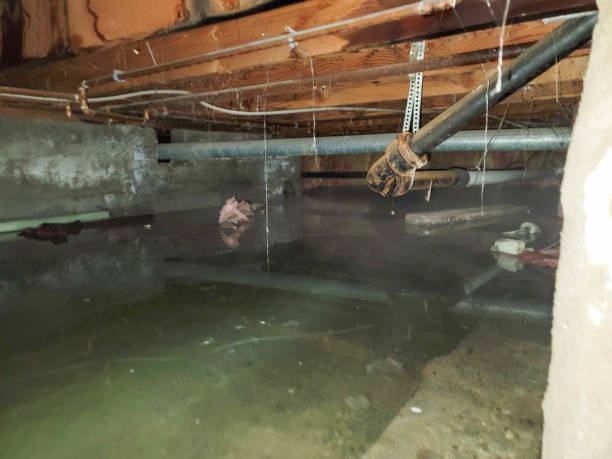 Best Commercial water damage restoration  in Centennial Park, AZ