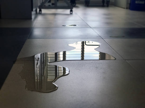 Best Water damage contractors near me  in Centennial Park, AZ