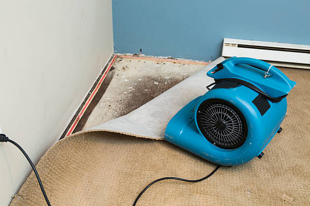 Best 24-hour water damage restoration  in Centennial Park, AZ